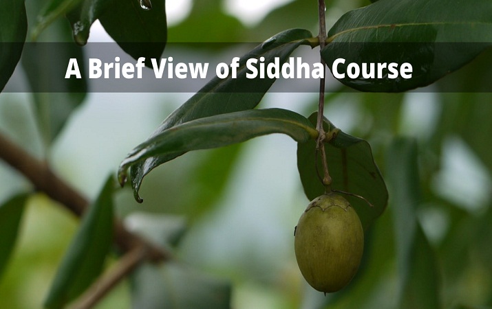 A Brief View of Siddha Course